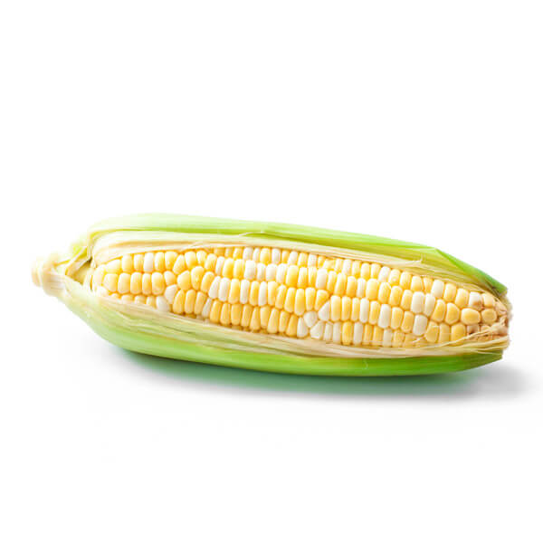 Bi-Color Corn on the Cobb