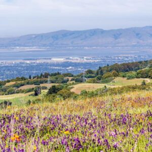 Sunnyvale California Mountain View Sunnyvale California Mountain View